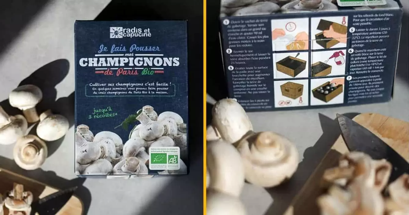 kit-faire-pousser-champignons-paris