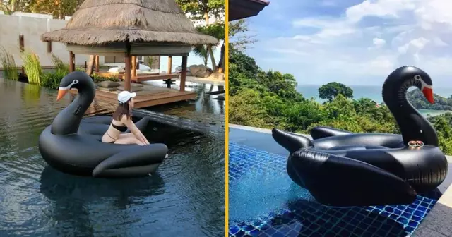 une-bouee-cygne-noir