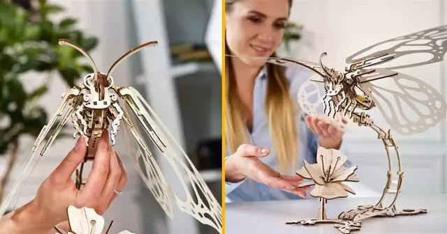 papillon-bois-construction