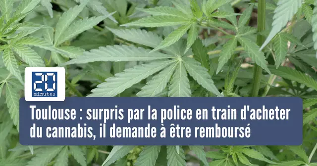 UNE_TOULOUSE-CANABIS