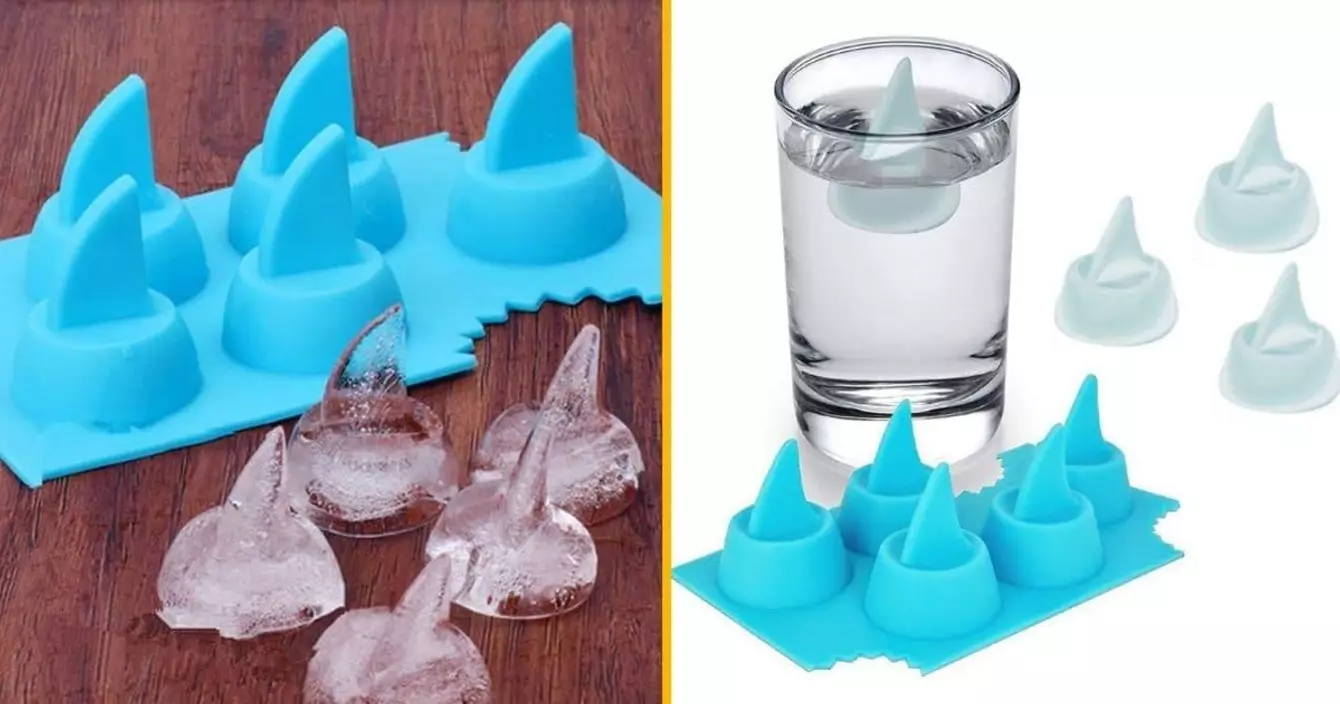 moule-glacons-aileron-requin