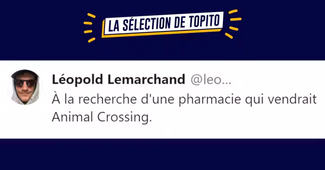 UNE_TWEETS_ANIMAL_CROSSING