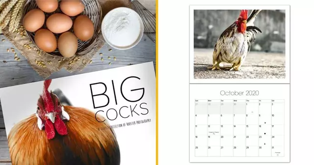 calendrier-big-cocks