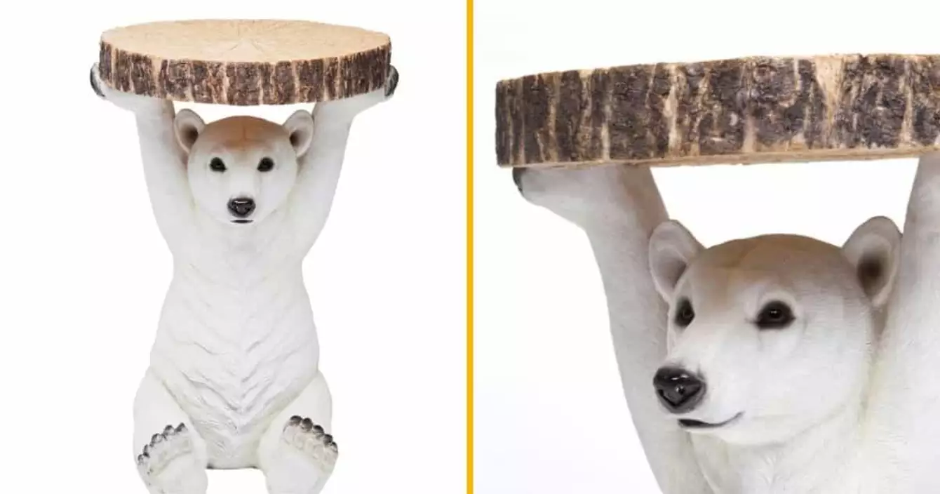 table-ours-polaire
