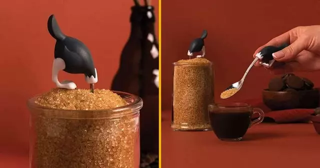 cuillere-sucre-autruche