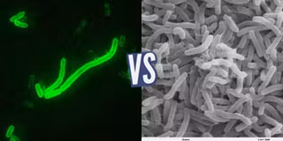 battle-363169-1426186224