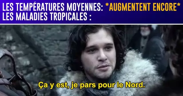 UNE_TOP_MEME_RECHAUFFEMENT