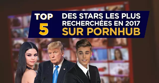 VIGNETTE_PORNHUB_STATS_10