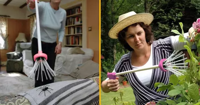 attrape-araignee-meilleur-ami-arachnophobe