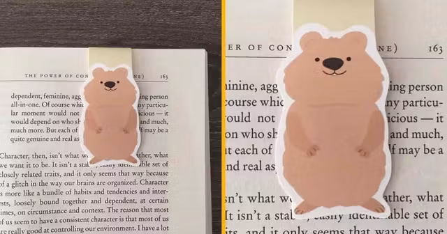 marque-page-magnetique-quokka