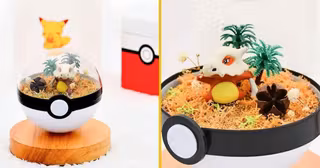 pokeball-osselait-terrarium