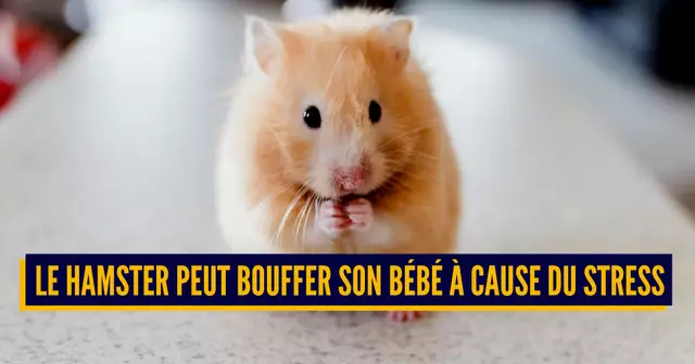 une-animaux-canibales