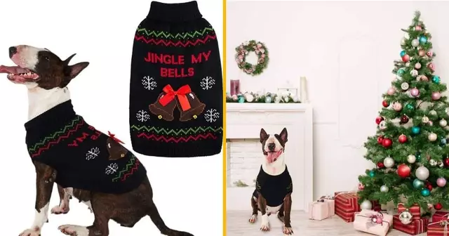 pull-noel-chien-jingle-my-bells