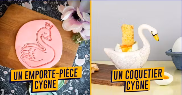 UNE-SHOPPING-CADEAU-CYGNE