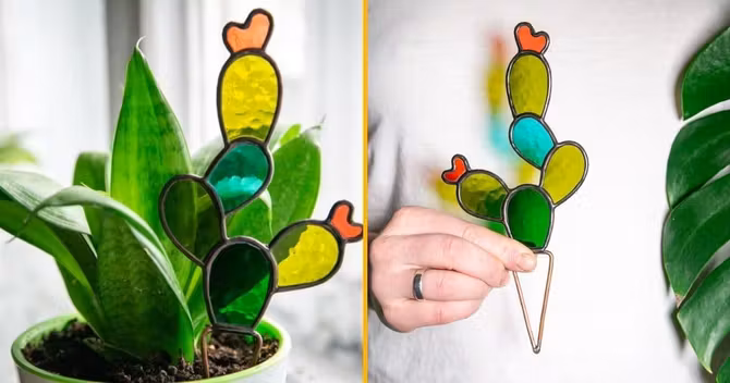 cactus-verre-plantes