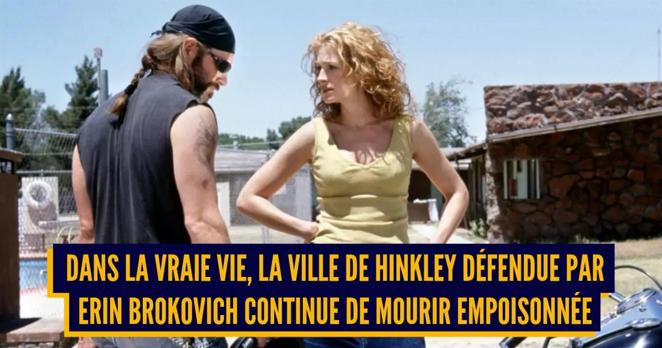 19511359.jpg-r_1280_720-f_jpg-q_x-xxyxx (1)