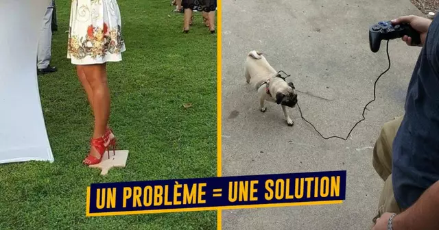 top probleme solution