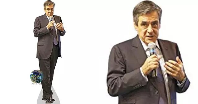 carton-fillon