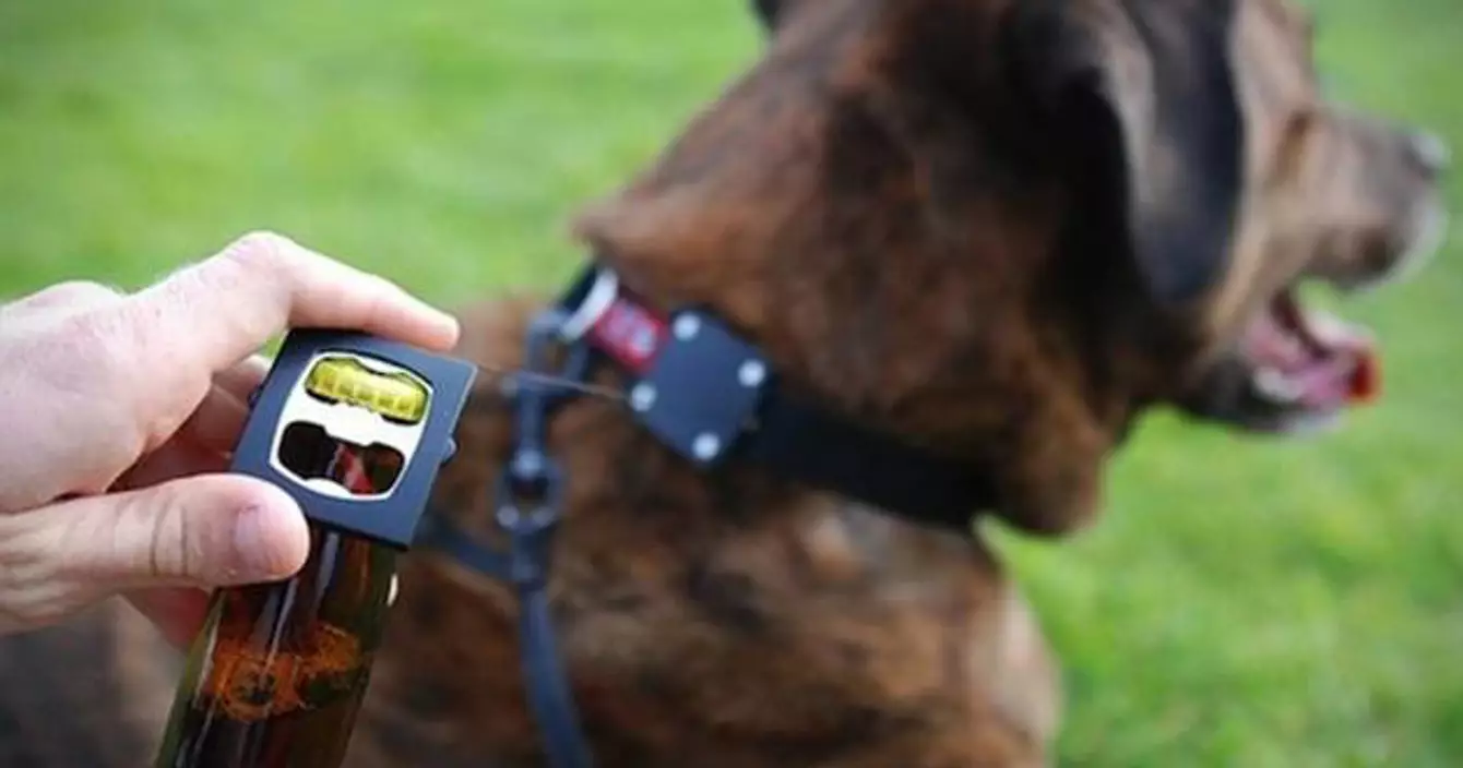 Bark-4-Beer-Dog-Collar-Bottle-Opener