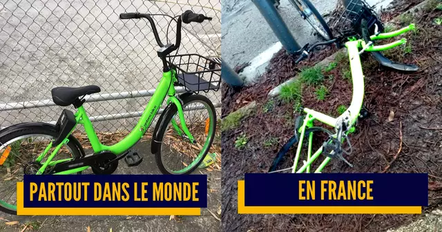 une_france_monde_vandale