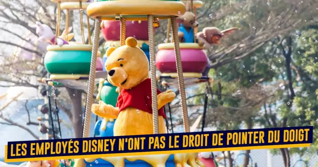 ReglesPersonnelDisney