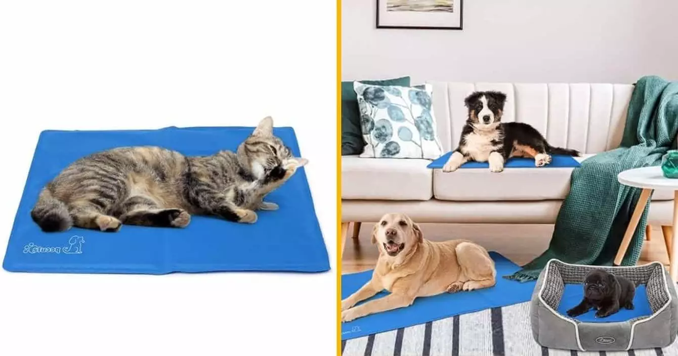 lit-rafraichissant-chien-chat