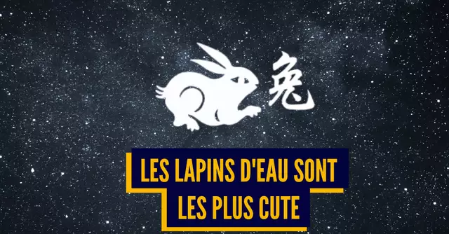 UNE_TOP_ASTRO_CHINOISE