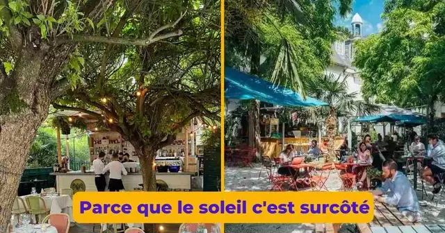 UNE_SHOPPING_top-terrasses-vert-paris