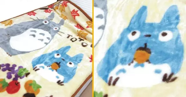 couverture-naissance-totoro