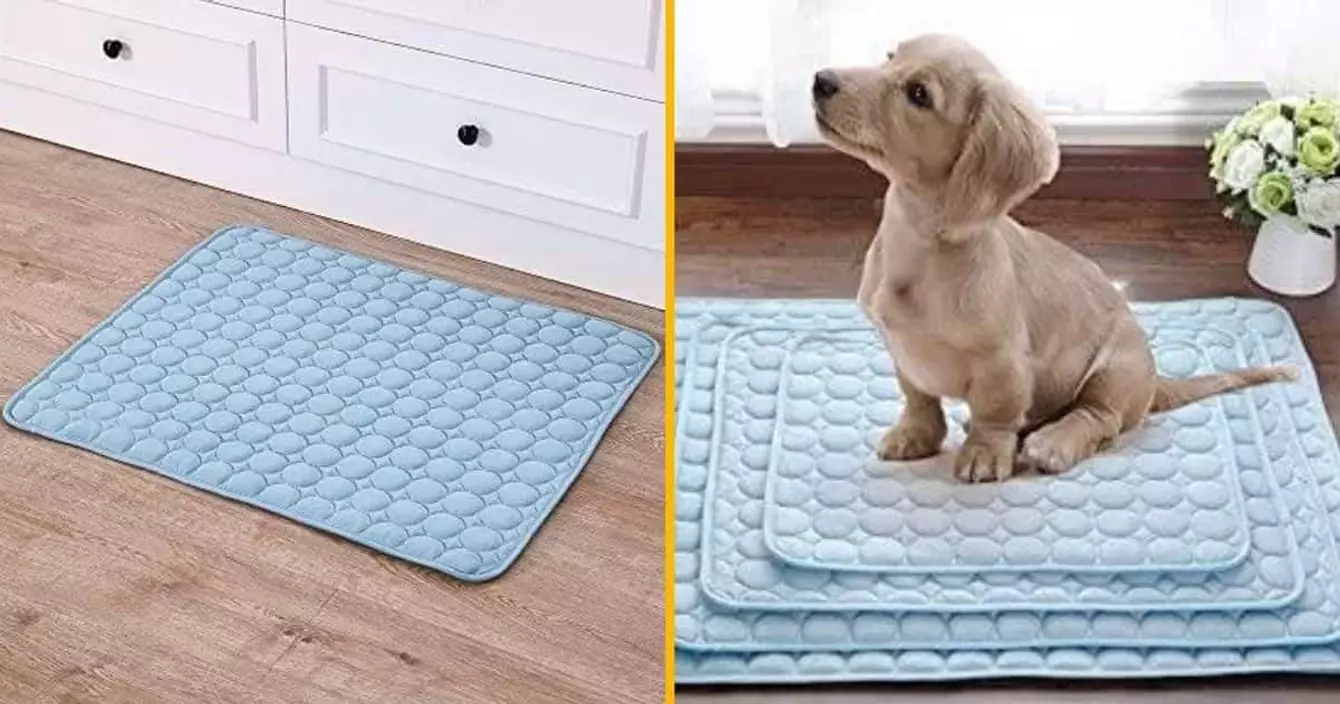 tapis-rafraichissant-chien