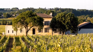 EXPEIRENCES-OENOLOGIQUES-RUE-DES-VIGNERONS