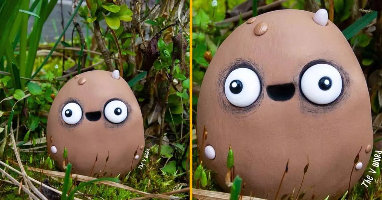 une-patate-de-compagnie