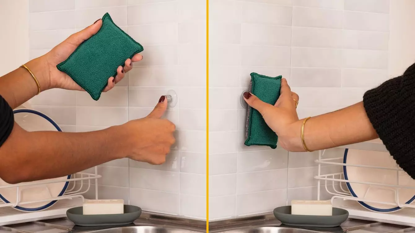 eponge-reutilisables-lavables