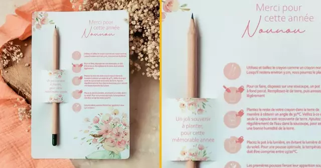 crayon-planter-nounou