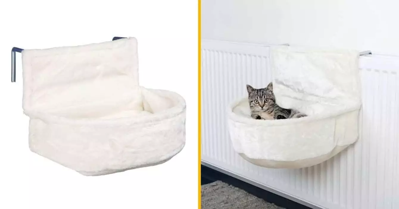 niche-chat-radiateur