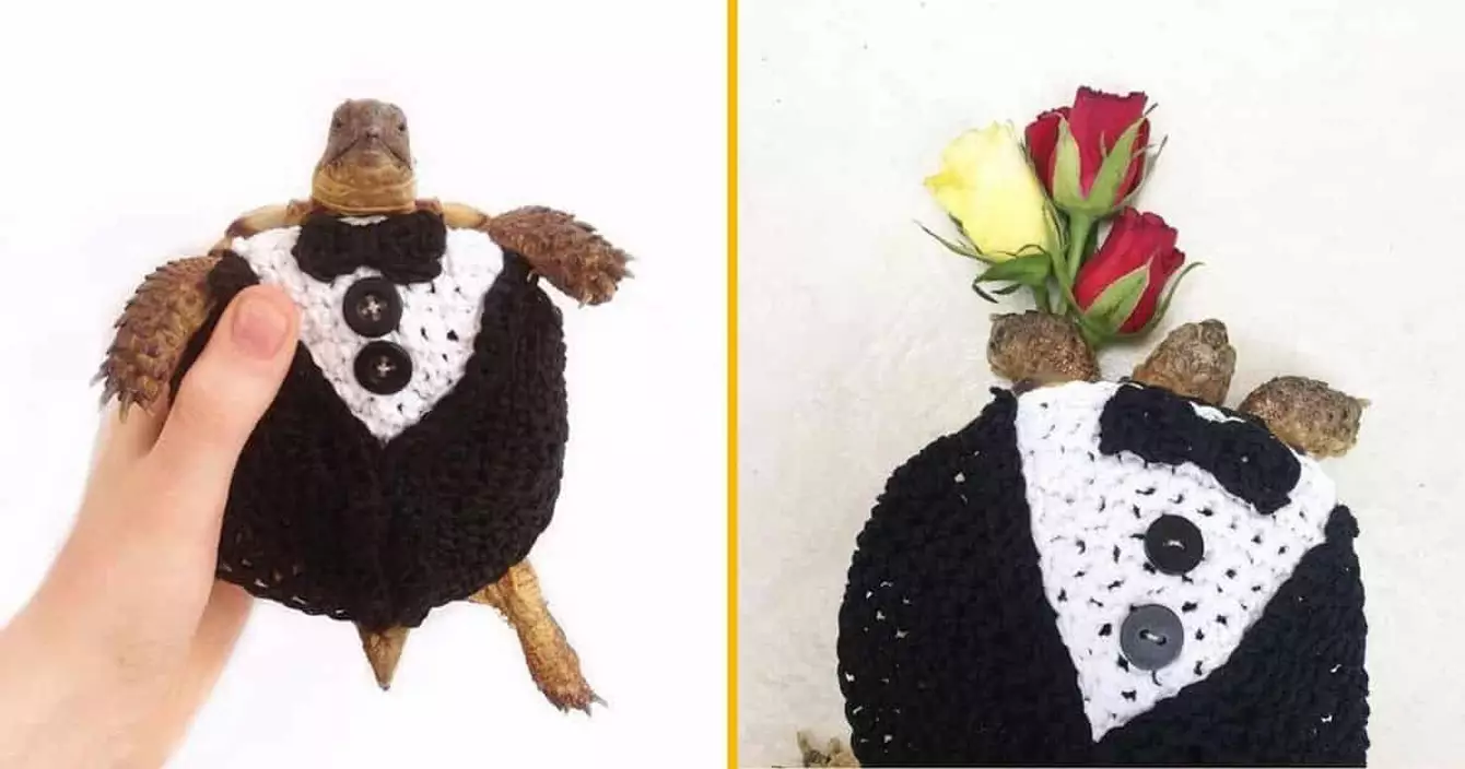 costume-tortue-smoking