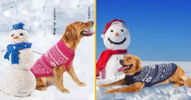 pull-noel-chien-flocons