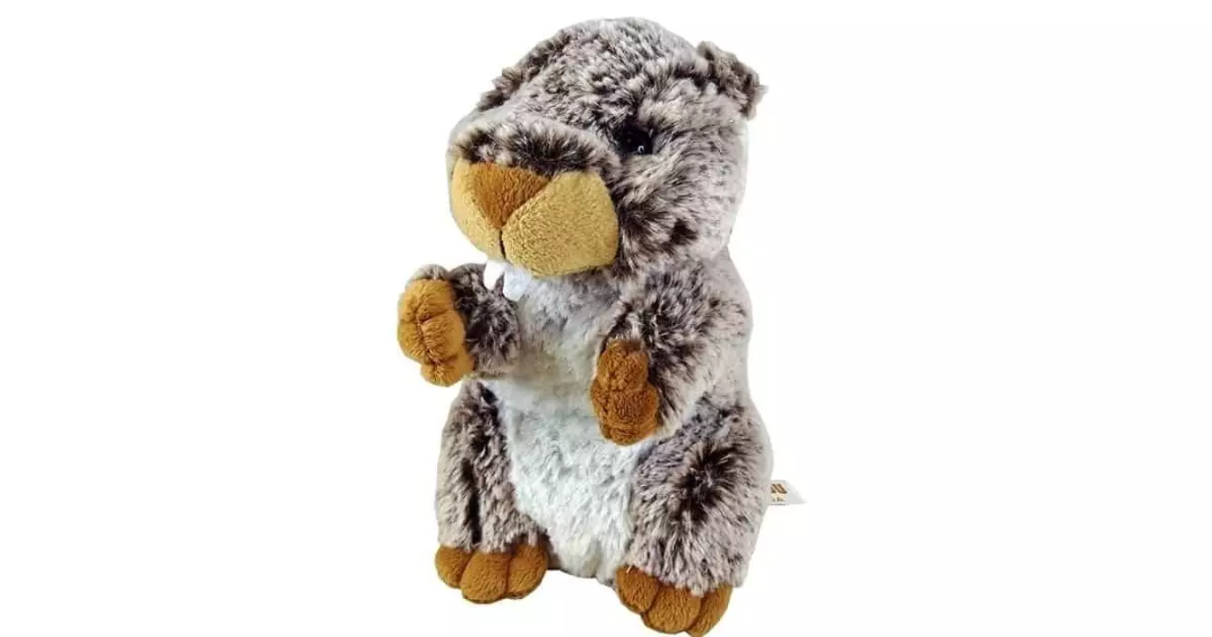 marmotte-peluche