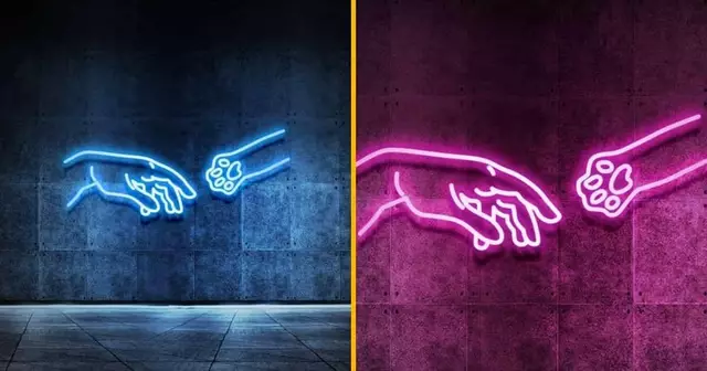 neon-meilleurs-copains