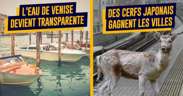 une_nature_gagne_ville