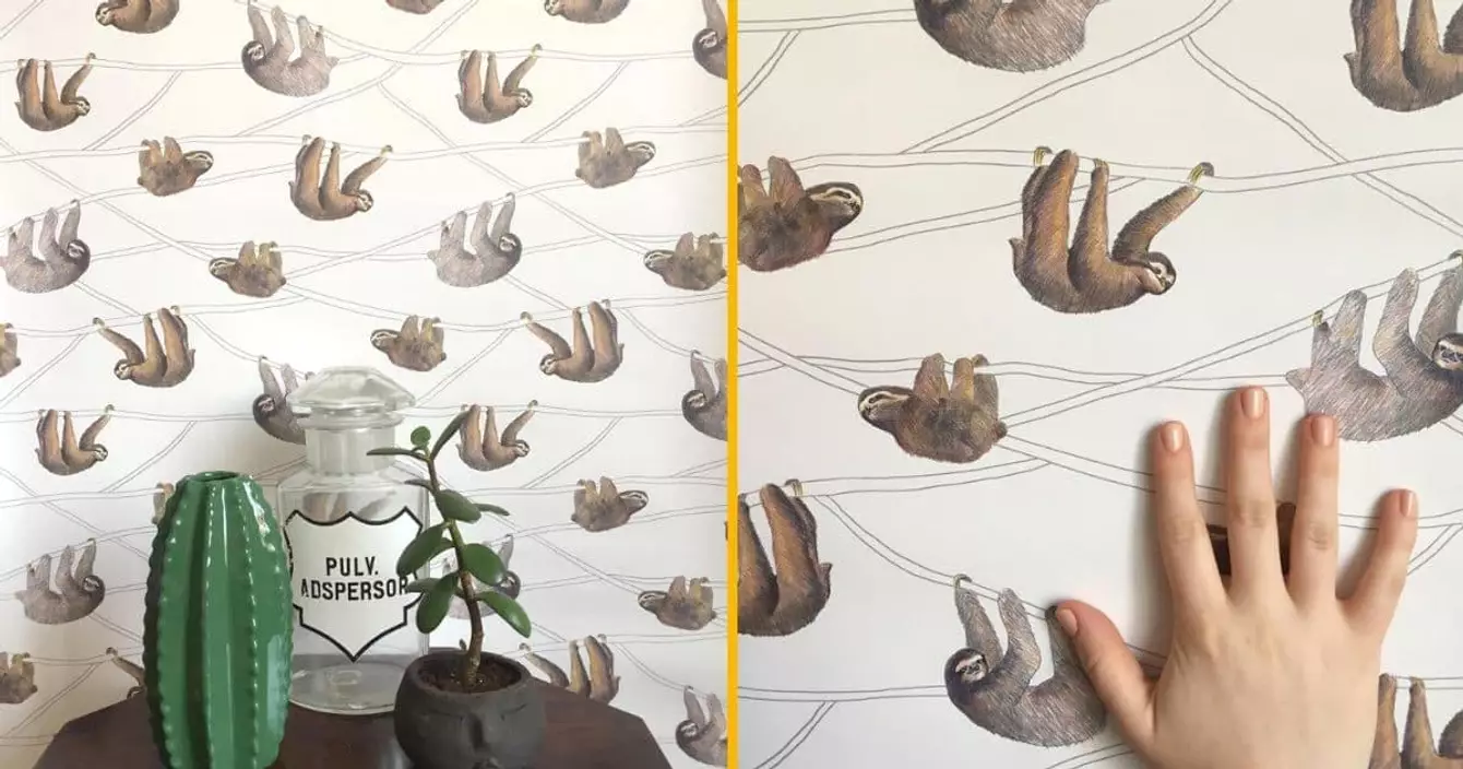 papier-peint-paresseux-animal-totem