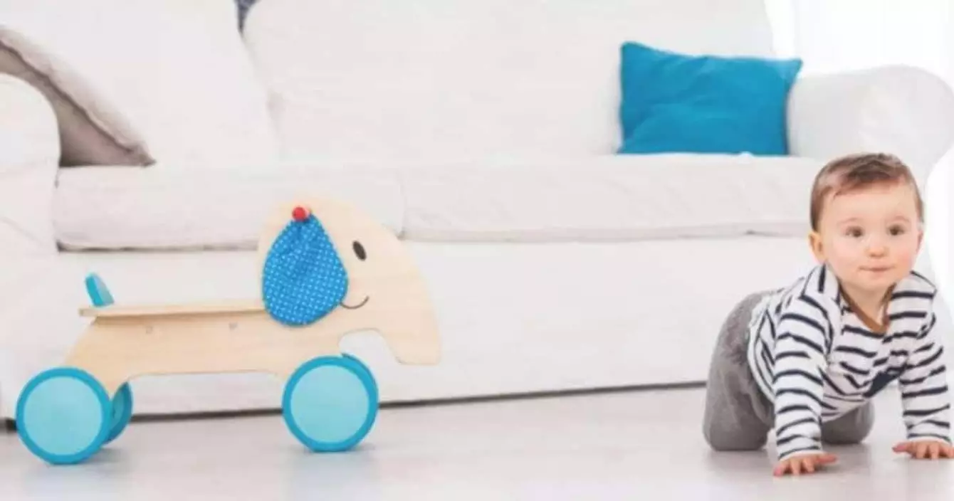 porteur-bebe-elephant