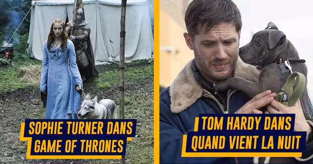 une-stars-adopter-tournage