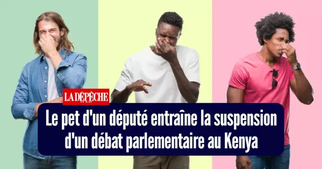 top champion semaine 245