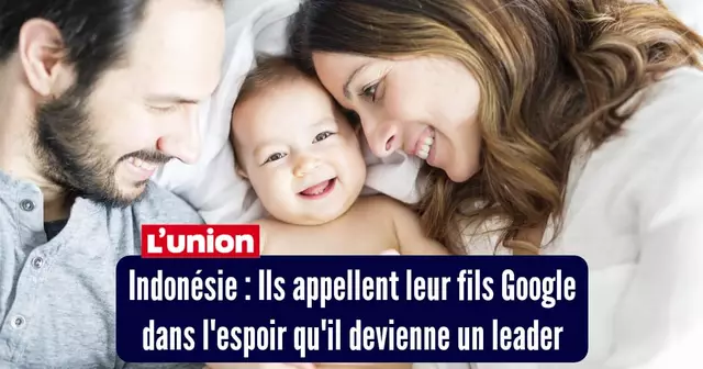 top champions semaine 239