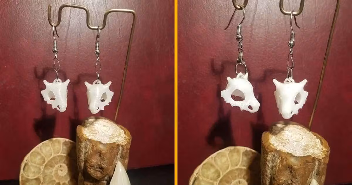 des-boucles-doreilles-evoli-et-ses-evolutions-les-pokemon-les-plus-mignons-du-monde