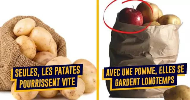 top astuces gaspi
