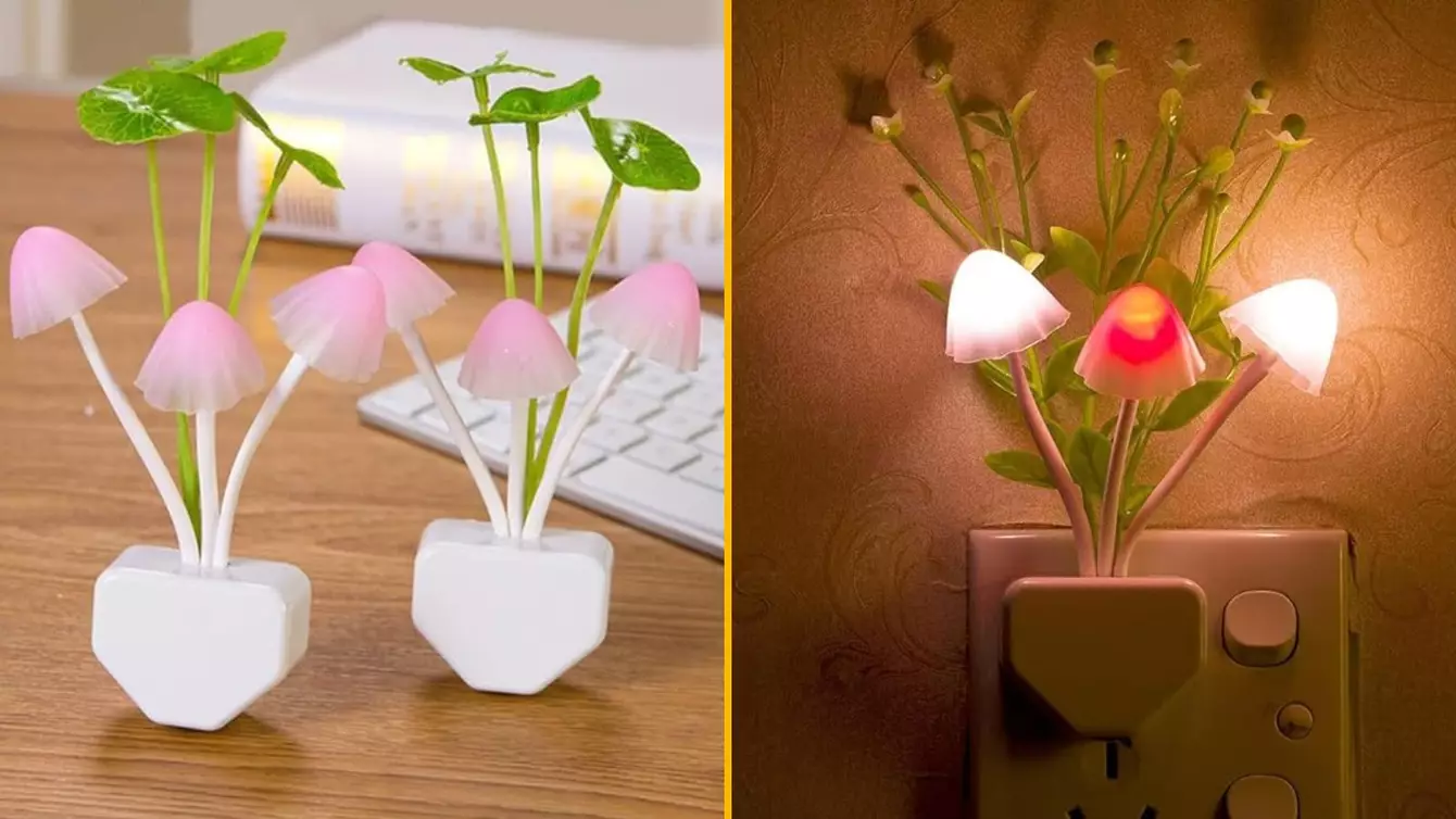 veilleuse-champignon