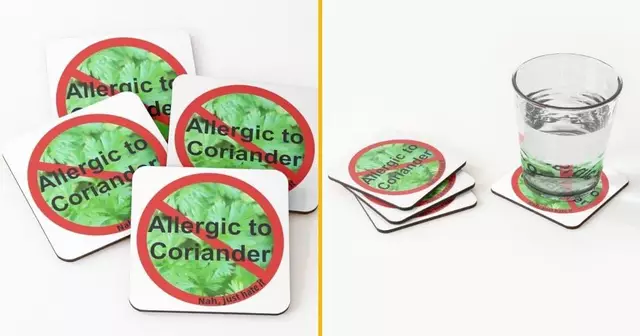 dessous-verres-allergiques-coriandre