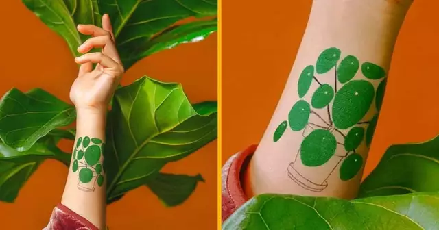 tatouage-ephemere-pilea